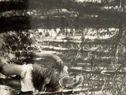 1980 KAMP